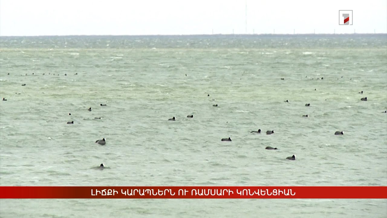 Լիճքի կարապներն ու Ռամսարի կոնվենցիան