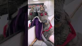 The Mouse King - Nutcracker's Anti-Hero #shorts