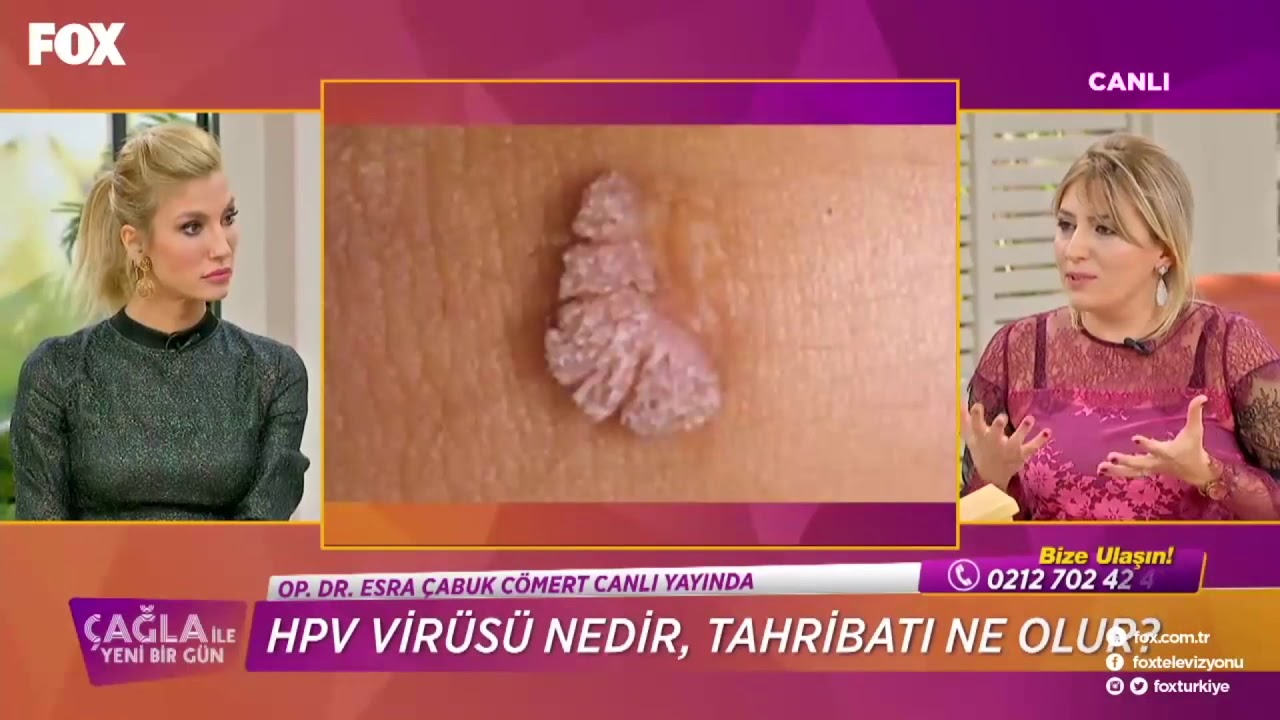 Esra Çabuk Cömert-24