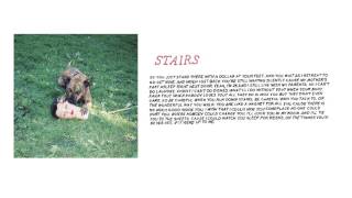 Joyce Manor - &quot;Stairs&quot; (Full Album Stream)