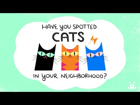 Cats, Community & You - do you see outdoor cats in your neighborhood?