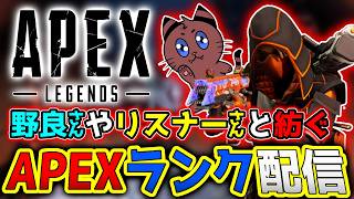 [Apex]昼間の全力ガチランク！！激闘を乗り越えろ！！[ゲーム実況]