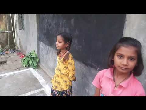 मेरी पाँच बत्तख थी 4