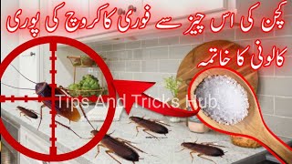 Safe And Effective Way To Kill Cockroaches|Remedies To Get Rid Of Cockroaches|Kitchen Tips