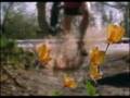 Arid - Little things of Venom 