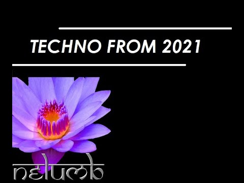 Nelumb - TECHNO FROM 2021