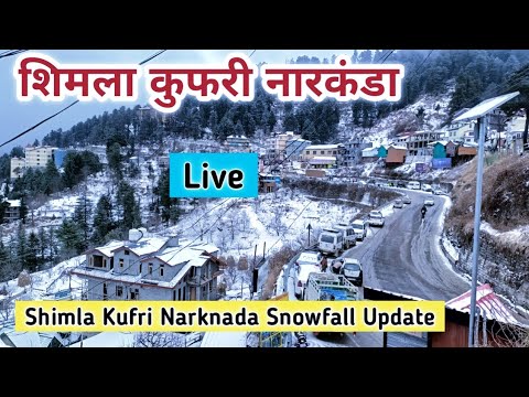 Shimla Kufri Narknada snowfall update, shimla snowfall update, shimla kufri snowfall update