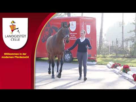 Ben Amour v. Ben Benicio - San Amour