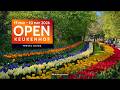 Keukenhof 2026 OPEN March 19 May 10 4K