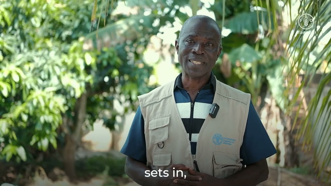 Changing how fish farmers use antimicrobials in Ghana