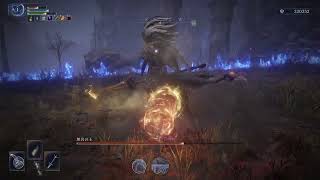 Day2ボス戦“無名の王”追跡者ソロ,レベル1攻略　　ELDEN RING NIGHTREIGN