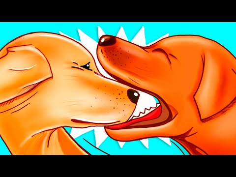 Why Dogs Bite Each Other's Mouths in Play