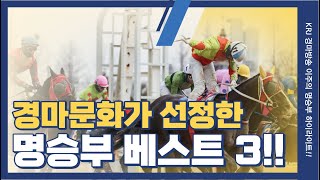 [경마 명승부]지난 한 주 경마 명승부는 어떤 경기가 선정됐을까!?