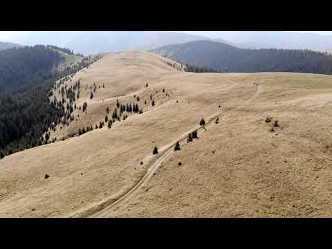 DRONA | Aerial Mountain Bike