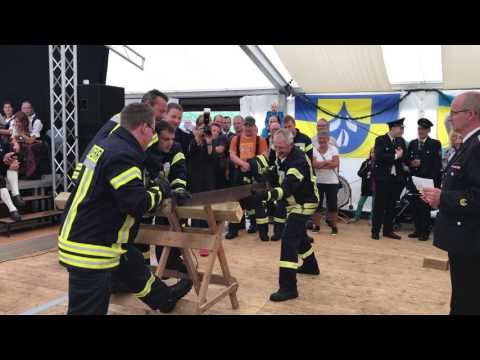 Feuerwehr Lottorf beim Amtsfeuerwehrtag 2017