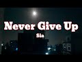 Sia - Never Give Up (lyrics) (Hindi Translation)