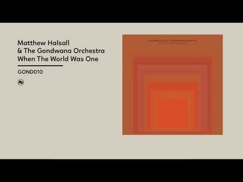 Matthew Halsall, The Gondwana Orchestra   When the World Was One Official Album Video