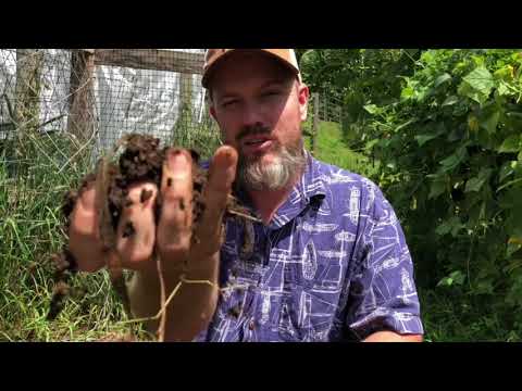 YouTube video about: Where can I buy horse manure?