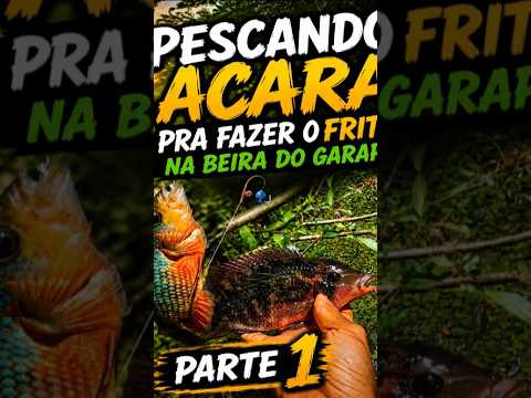 🔥 Pescaria de acará pra fazer um frito de respeito! 🐟🍽️ #viral #pesca #pescaria #peixe #fy