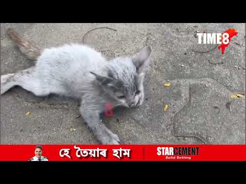 বৰ্তমানেও জীয়াই আছে মানৱতা।  মহানগৰীৰ মিল' হাউচৰ প্ৰশংসনীয় পদক্ষেপ।