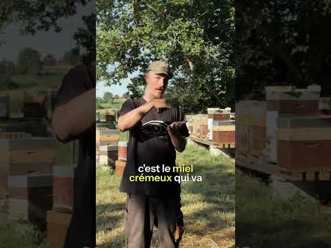Video thumb