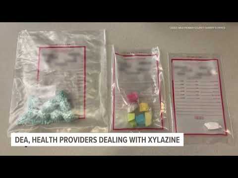 Animal tranquilizer xylazine a major concern in the fight against drug overdoses