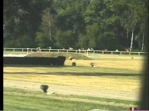 LL, 8. 8. 2015, 1. dostih - HANDICAP SPOLEČNOSTI PRAGIS