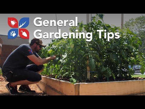  Do My Own Gardening - General Gardening Tips  Video 