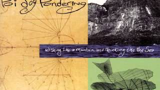 Poi Dog Pondering - Spending The Day In The Shirt You Wore (no intro)