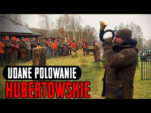 Udane polowanie hubertowskie 2025. Dzik spod Avy.