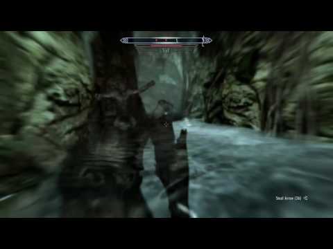 The Elder Scrolls V: Skyrim Special Edition Half Man\Half Wolf\Half Archer