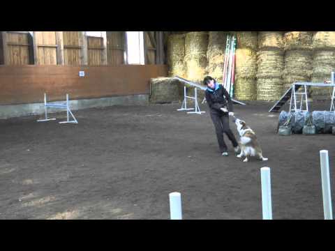 9.-15.2.2015 DAZZLING FLASH OF SILENT STORM - Agility camp with Antonín Grygar