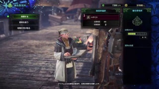 なんとなくMHW