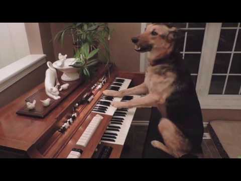 Smokepurpp X LIl Pump X Og Maco Type Beat "Dog"