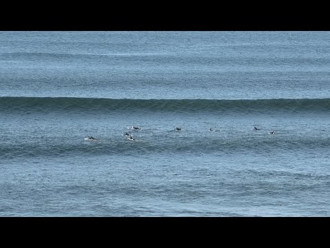 Sunday Lines At Bells