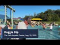 Doggie Dip 2025