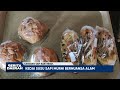KANDANG SAPI SARI INDAH KEDAI SUSU SAPI MURNI BERNUANSA ALAM DI KOTA PEKALONGAN