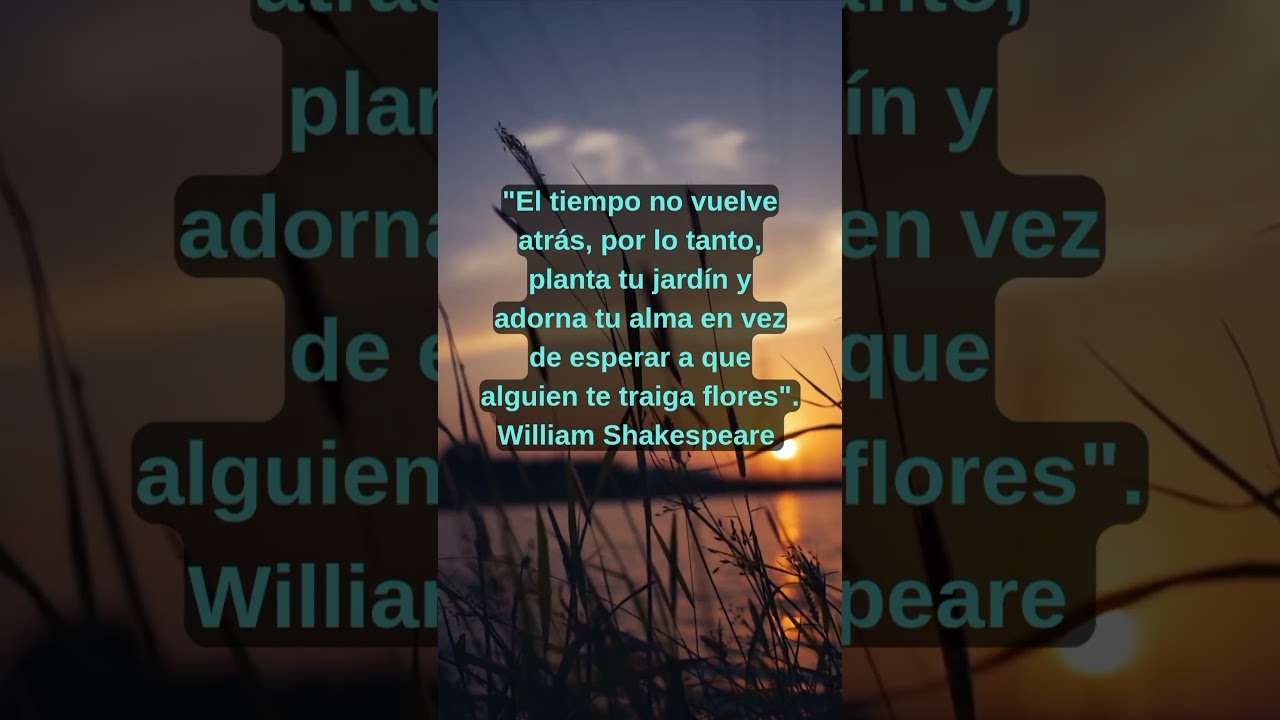#poesia #escritos #frases #ella #literatura #leer#frasesinspiradoras #escribir #accionpoetica