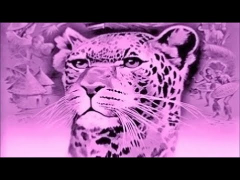 Great Charity Shop Finds No 139 - Marais & Miranda: 'Hunger Chant'