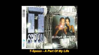 T-Spoon - A Part Of My Life (Euro Rave 12&#39;&#39; Mix)