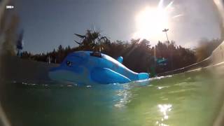 The Beach Bums - Mehr Meer 2012 - SWR-Video