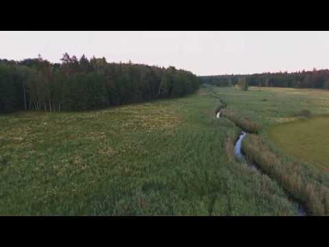 Nasza polana z innej perspektywy - Agroturystyka Relax