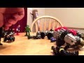 Imaginex Episode 01