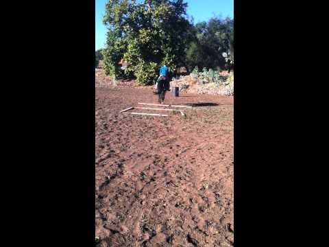 download lagu mp3 mp4 E Lope, download lagu E Lope gratis, unduh video klip E Lope