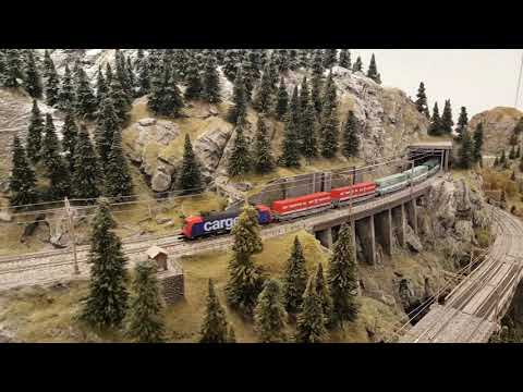 Ein Güterzug auf der Schweizer Alpenbahn