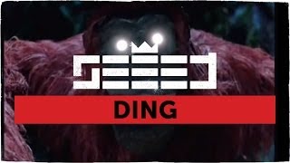 Ding Music Video