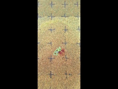 Blood Bowl Spielfelderweiterung toter Snotling