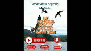 Download lagu SUARA PANGGIL WALET DURASI SATU JAM mp3 Download lagu SUARA PANGGIL WALET DURASI SATU JAM mp3