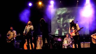 Corizonas - The Falcon Sleeps Tonight (Jamonpop 2012)