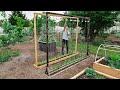 This Method of Trellising Tomatoes is a Game Changer!